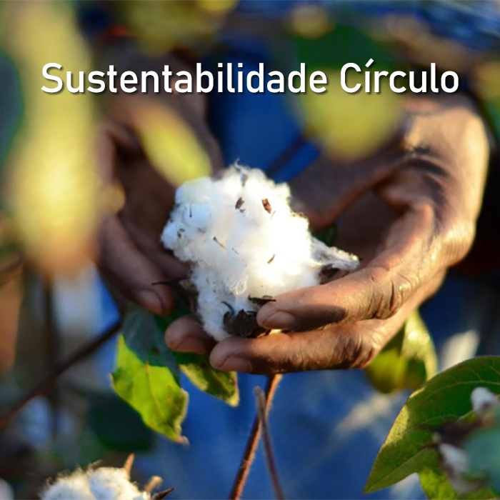 Sustentabilidade Círculo: conheça nossas práticas!